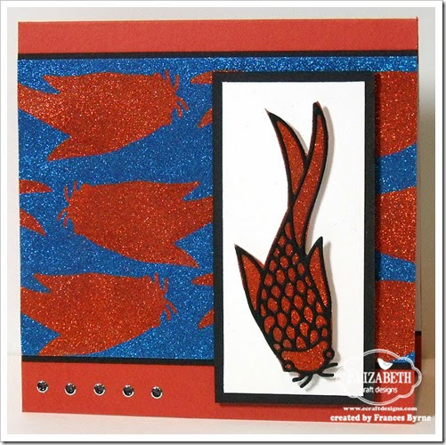 ECD-Koi-wm ECD-Koi-wm
