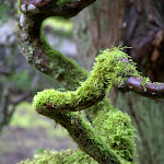 IMG_6171.jpg