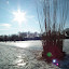 DSCF4110.JPG
