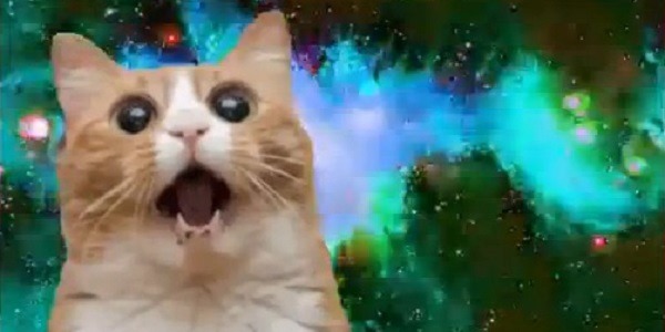 Gifs animados com sons ficam muito mais legais 8 Gifs animados com sons ficam muito mais legais 8