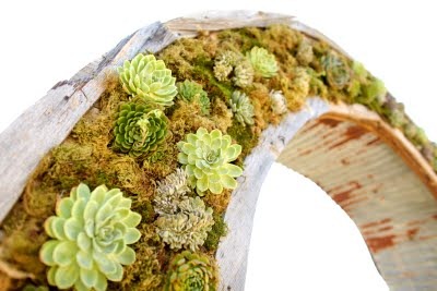 [DreCh0747flowersbydenise.blogspot.6.jpg]