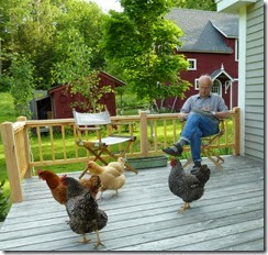 Chickens on porch