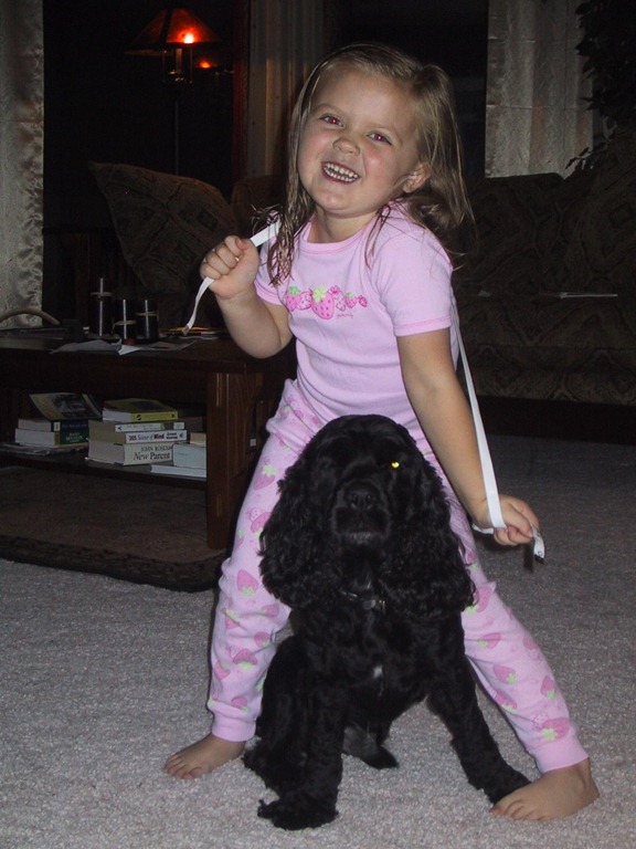 [IMG_20265.jpg]