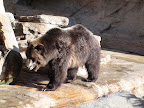 denver_zoo