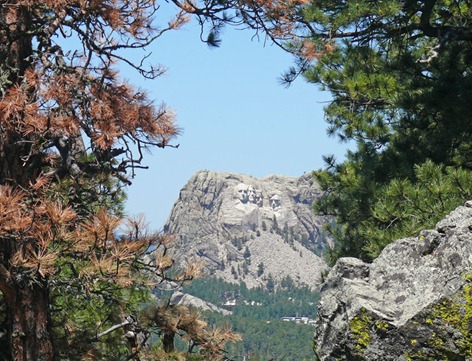 Rushmore through Trees