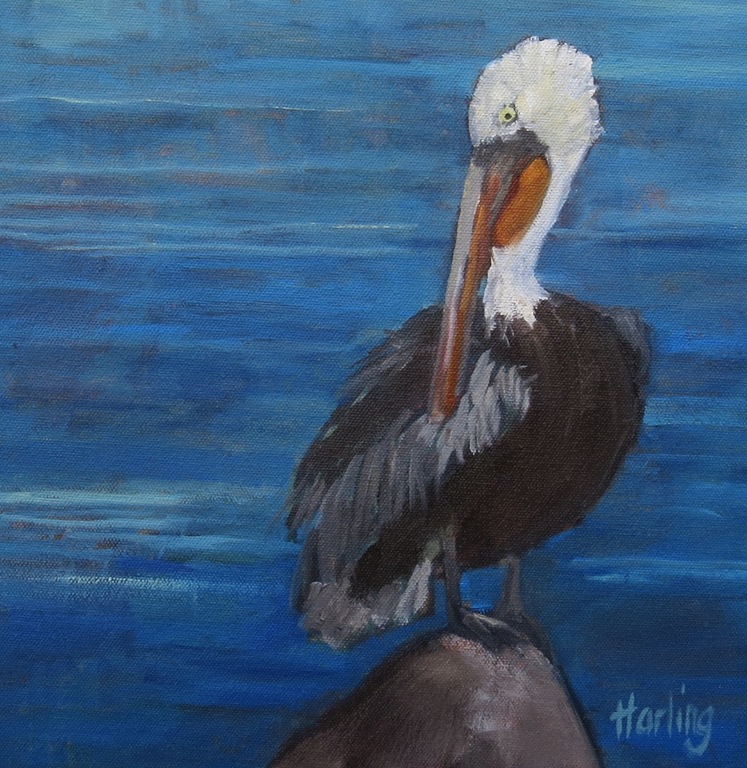 [Scooper--Crystal-Harling4.jpg]