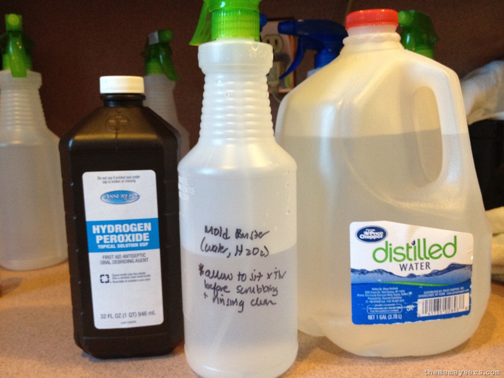 [homemade%2520cleaning%2520soln%25203%255B3%255D.jpg]