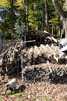 There sure is a lot of wood here.