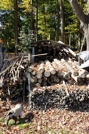 There sure is a lot of wood here.
