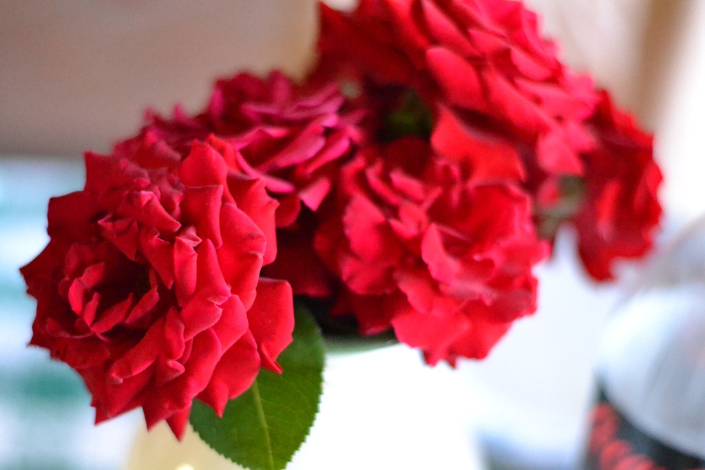 [DSC_0440%255B5%255D.jpg]