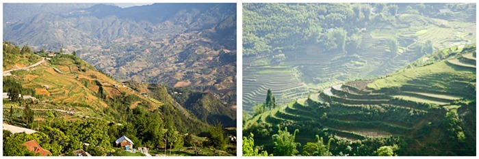 Sapa Sapa