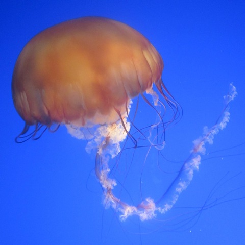 [June2012%2520416%255B2%255D.jpg]