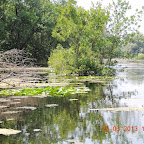 DSCN8332.JPG