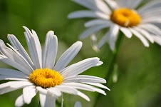 DSC_1027.JPG
