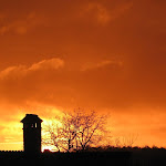 IMG_0980.jpg