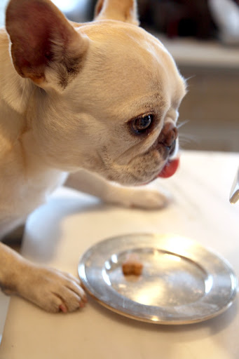 Wow, Francesca!  These are delicious!  I can't believe you baked these!