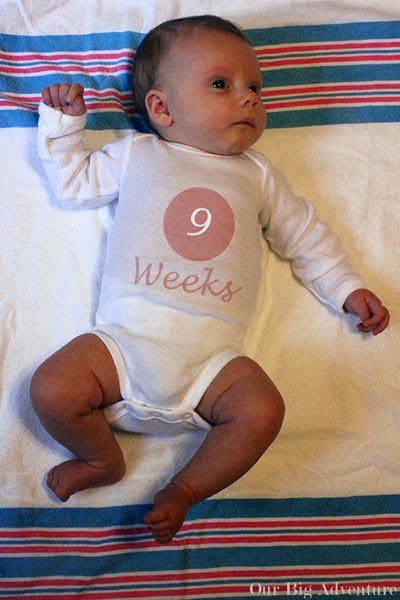 week9.jpg Week9