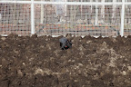 Think about it, Sharkey! This isn't just dirt, it's what plants live in!  Aeration helps replenish nutrients and provides a loose soil for vegetable roots to grow deep and strong.