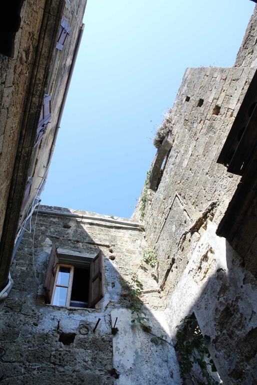DSC_0867 DSC_0867