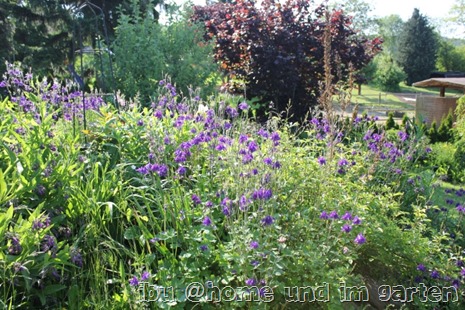 [IMG_2921%255B2%255D.jpg]