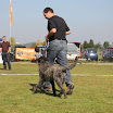 IMG_2904.JPG