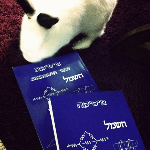 [Photo1301121838094.jpg]