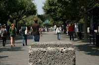 IMG_4420.JPG