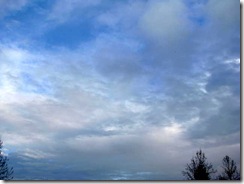 IMG_0007 IMG_0007