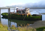 Honorable Mention - Jeanne Phelps for "Organized Driftwood"