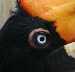 [Wheye%255B4%255D.jpg]