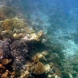 On The Edge of A Coral Wall - Noumea, New Caledonia