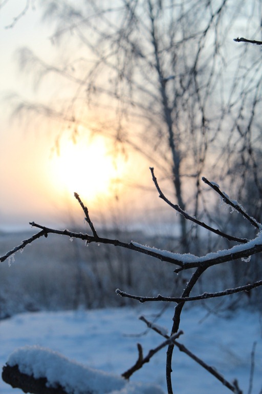 [IMG_2891%255B4%255D.jpg]