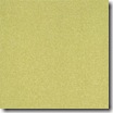 Texture Grass