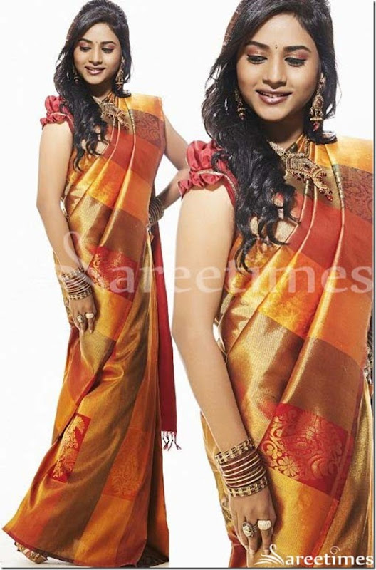 Suzi_Traditional_Silk_Saree