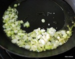 spring onion spring onion