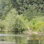 DSCN8258.JPG