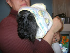 ESTRELLITA su primer baño en casa con su familia ADOTADA ¡¡¡¡!!!
