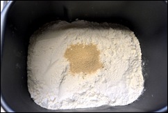 yeast sm yeast sm