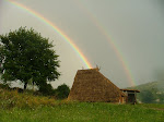 DSCF7224mini.jpg