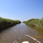 IMG_5660.JPG