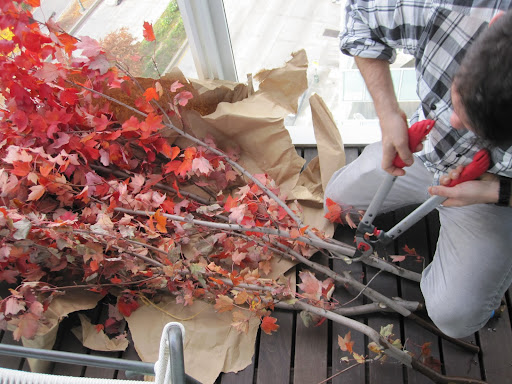 Tom cuts multiple pieces so he can work little by little for the arrangement.