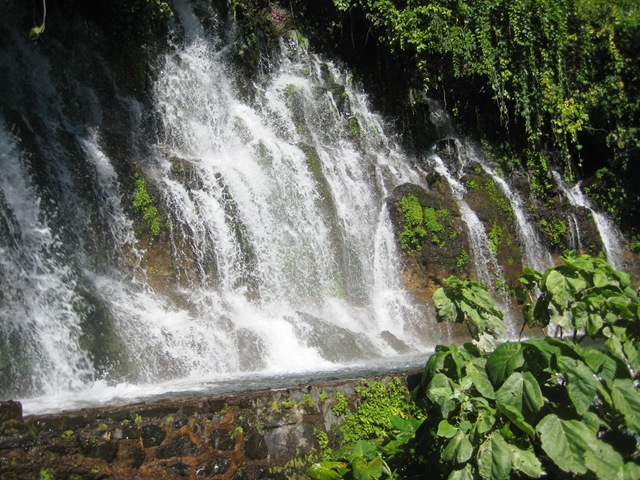 [IMG_7251%255B3%255D.jpg]