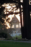 IMG_7320.JPG