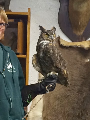 [IMG_1615%255B2%255D.jpg]