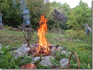 sacred fire sacrifice sacred fire sacrifice