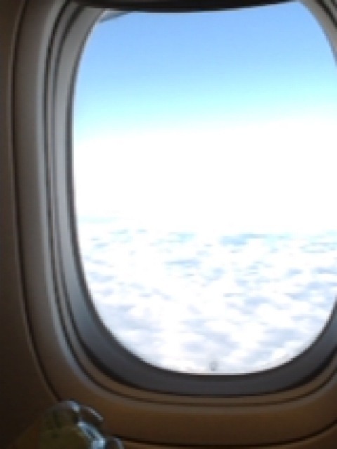 [2011-11-04%2520071%255B4%255D.jpg]