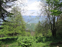 foto2008-05-17T14:56:32-000250.JPG