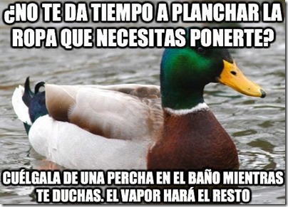 0 pato consejos cosasdivertidas info (6) 0 pato consejos cosasdivertidas info (6)