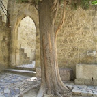 Castelo de S&Atilde;&pound;o Jorge