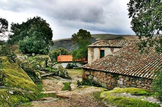 clip_image038 clip_image038